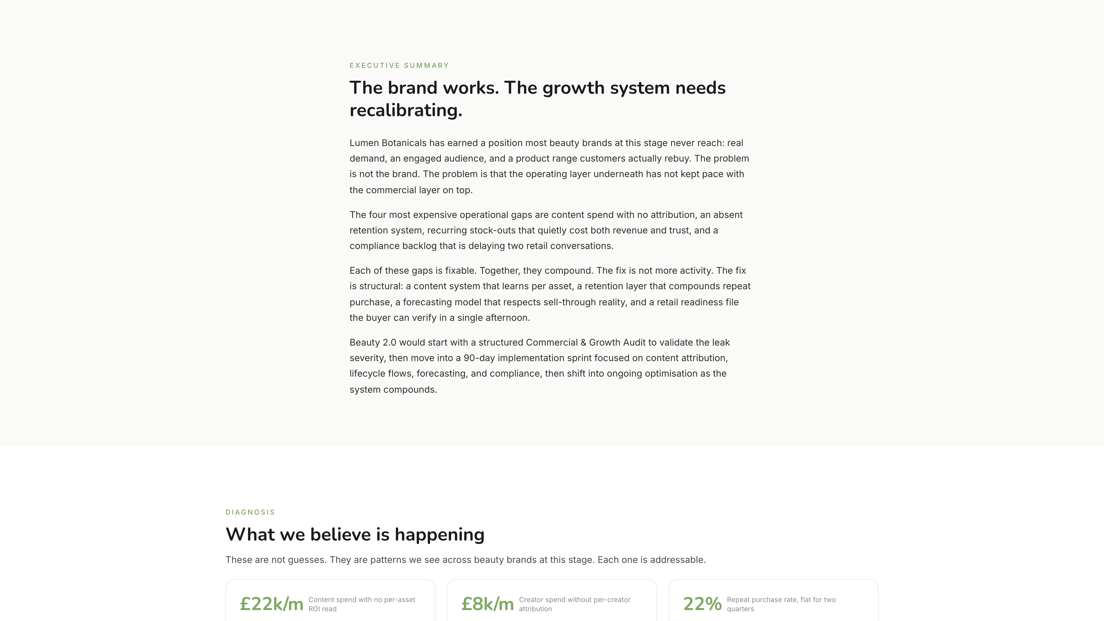 Sample executive summary section synthesising the brand's current state in four paragraphs.